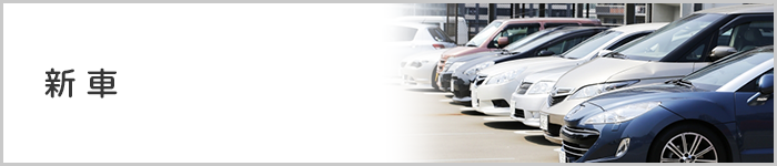 新車